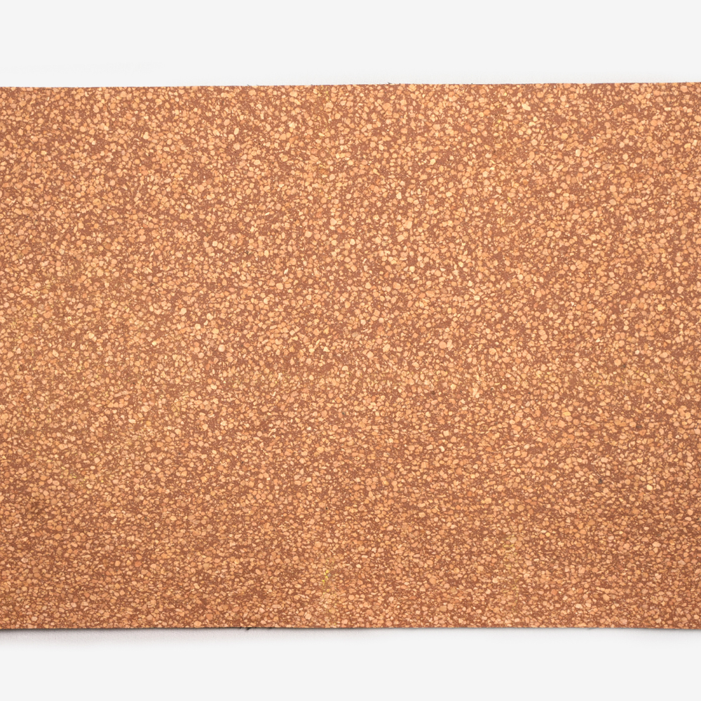 MUKTI / / मुक्ति