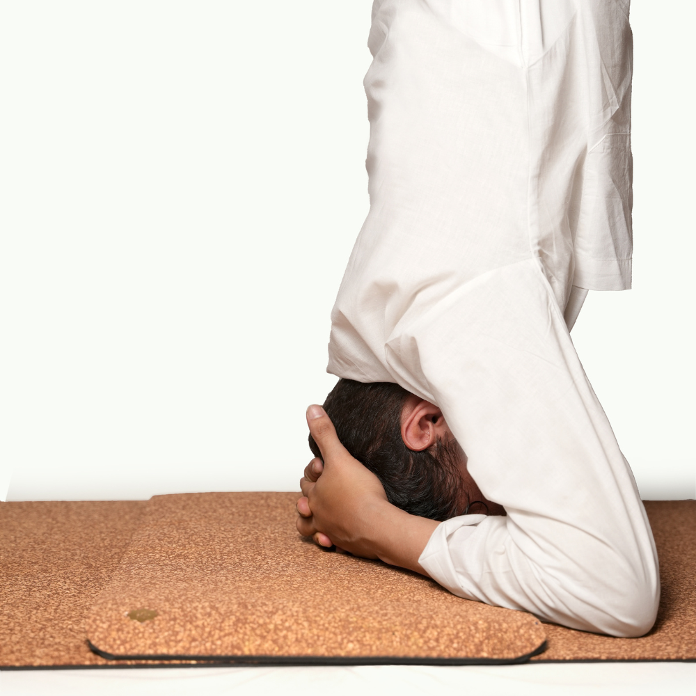 MUKTI / / मुक्ति