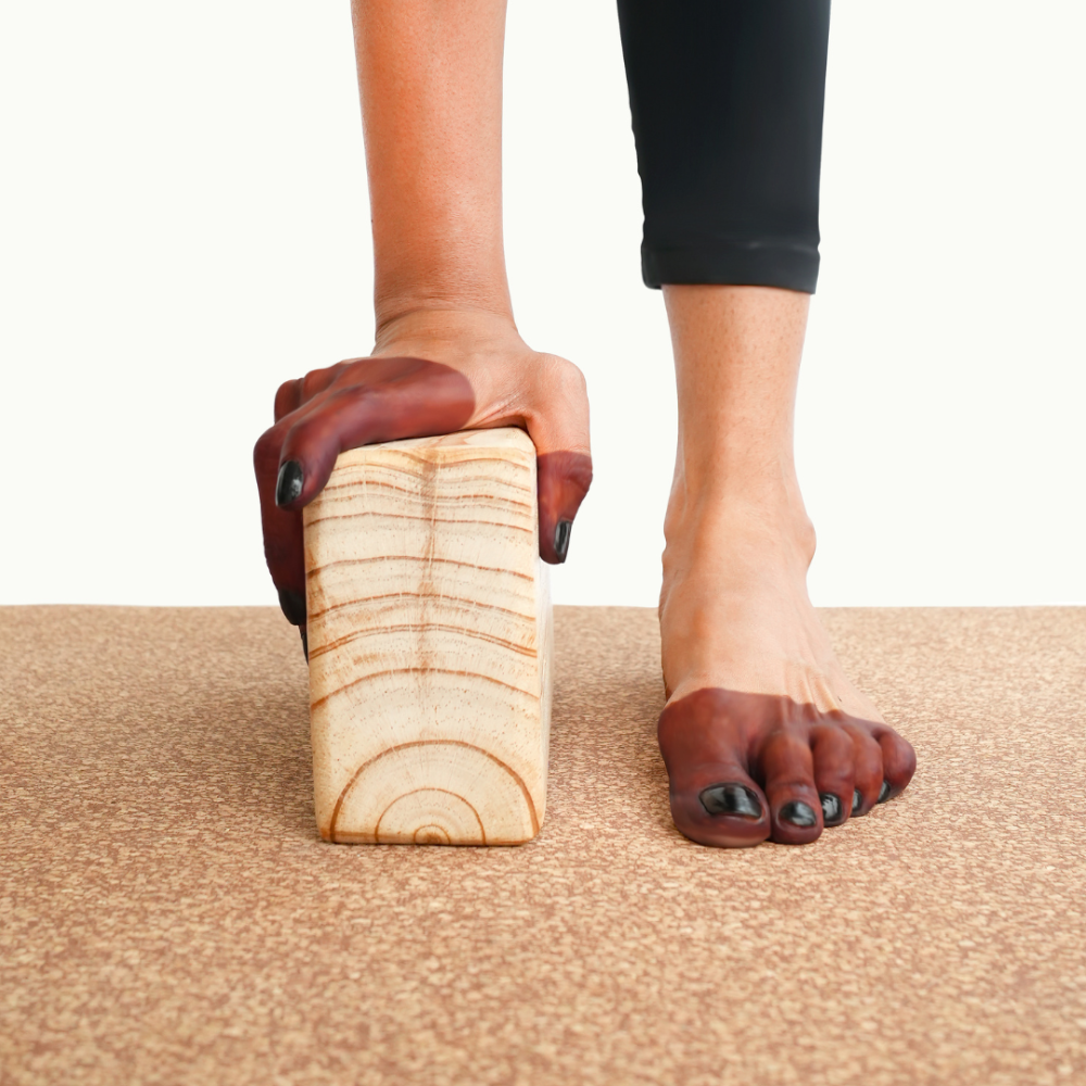 UBHAYA / / उभय