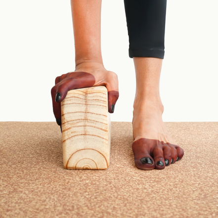 UBHAYA / / उभय